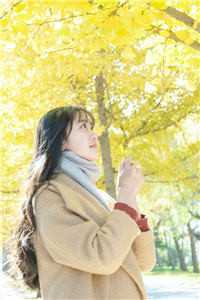 君心似我心，不负相思意！完整版