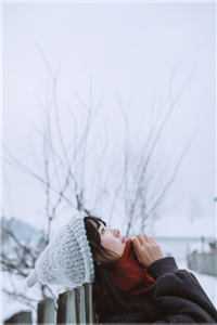 小说全集人在横滨，文明救世