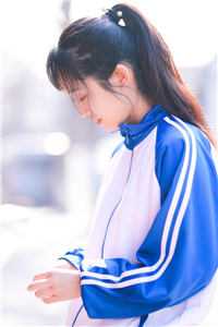 岁岁念西小说