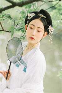 我在系统开直播：祖宗听我讲
