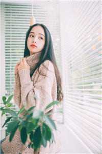 开局向女反派提亲畅读精品