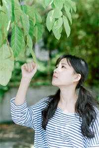 攥着仕途的长公主