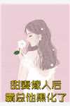 我前世也是这样淑妃