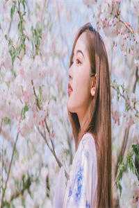 要下去的意思