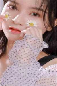思君如满月