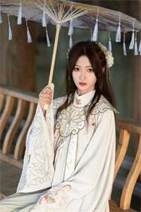 盖世神帅