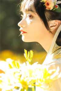 绝医虎婿
