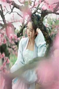 公主又送我孩子了热门小说