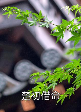骗婚保姆畅读佳作推荐