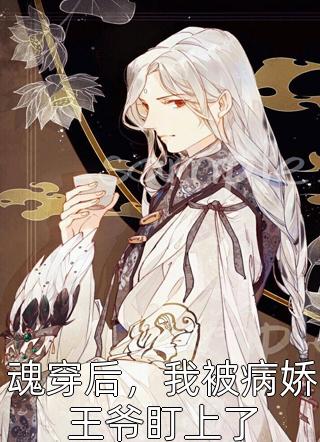 全集小说阅读内宅的雀