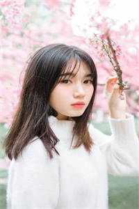 泪似寒冰不再流热门小说