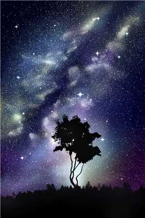 林辉春梅(畅销小说高考后，妈妈让我去陪舞)最新章节免费在线阅读_畅销小说高考后，妈妈让我去陪舞最新章节免费阅读
