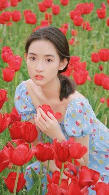 全文弟弟犯罪后,我亲手送他进监狱